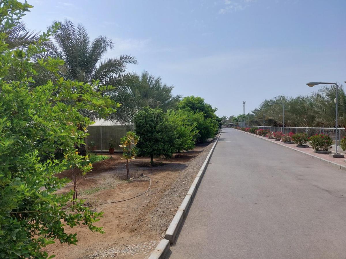 Asahalah Farm Pool Villas Seeb Buitenkant foto