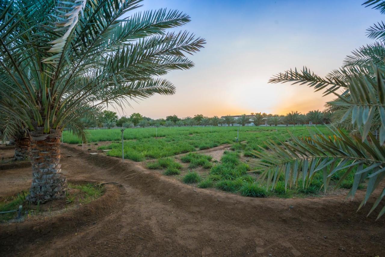 Asahalah Farm Pool Villas Seeb Buitenkant foto