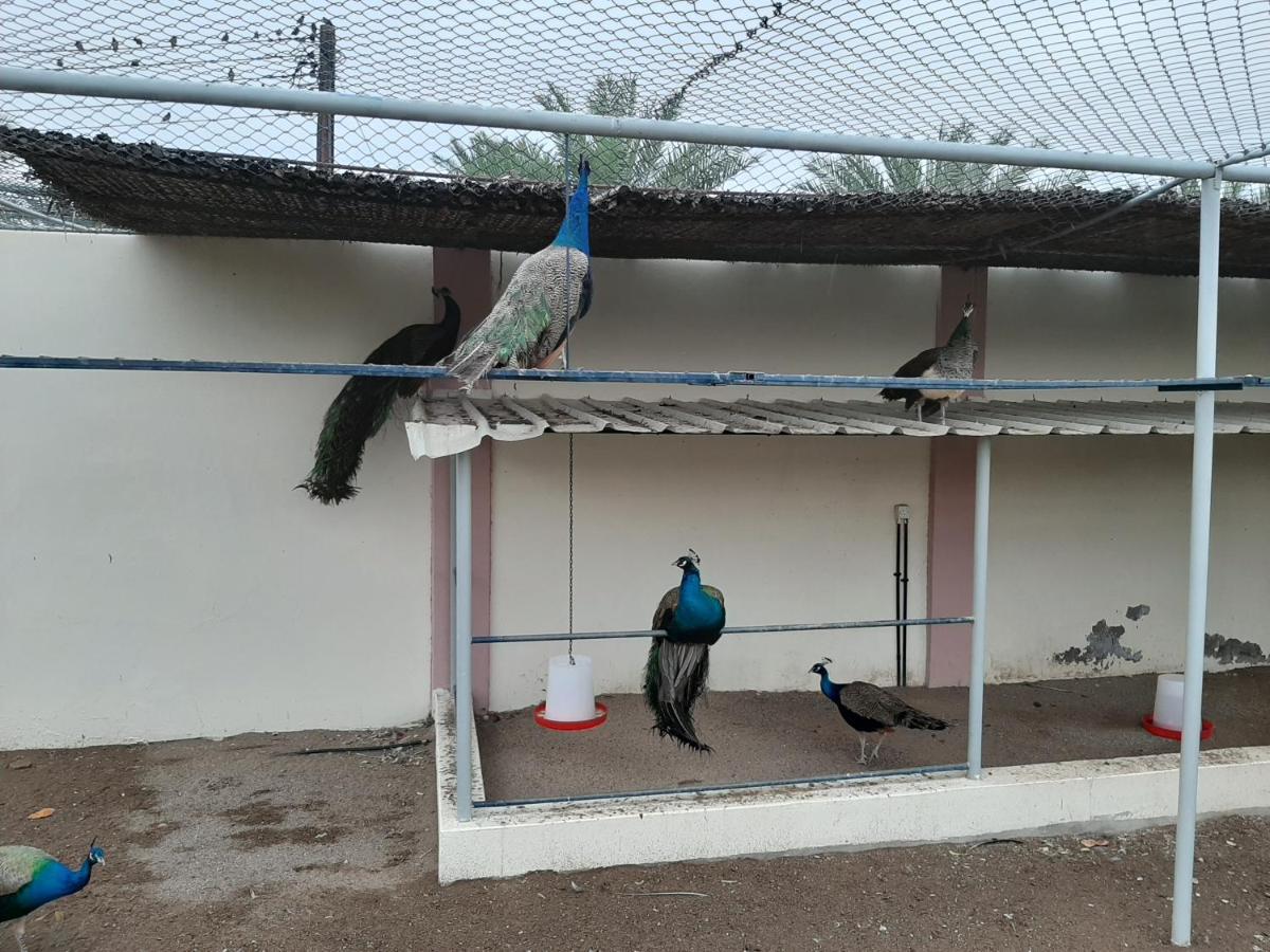 Asahalah Farm Pool Villas Seeb Buitenkant foto