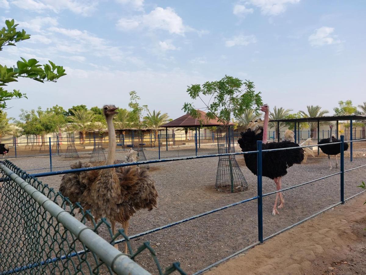 Asahalah Farm Pool Villas Seeb Buitenkant foto