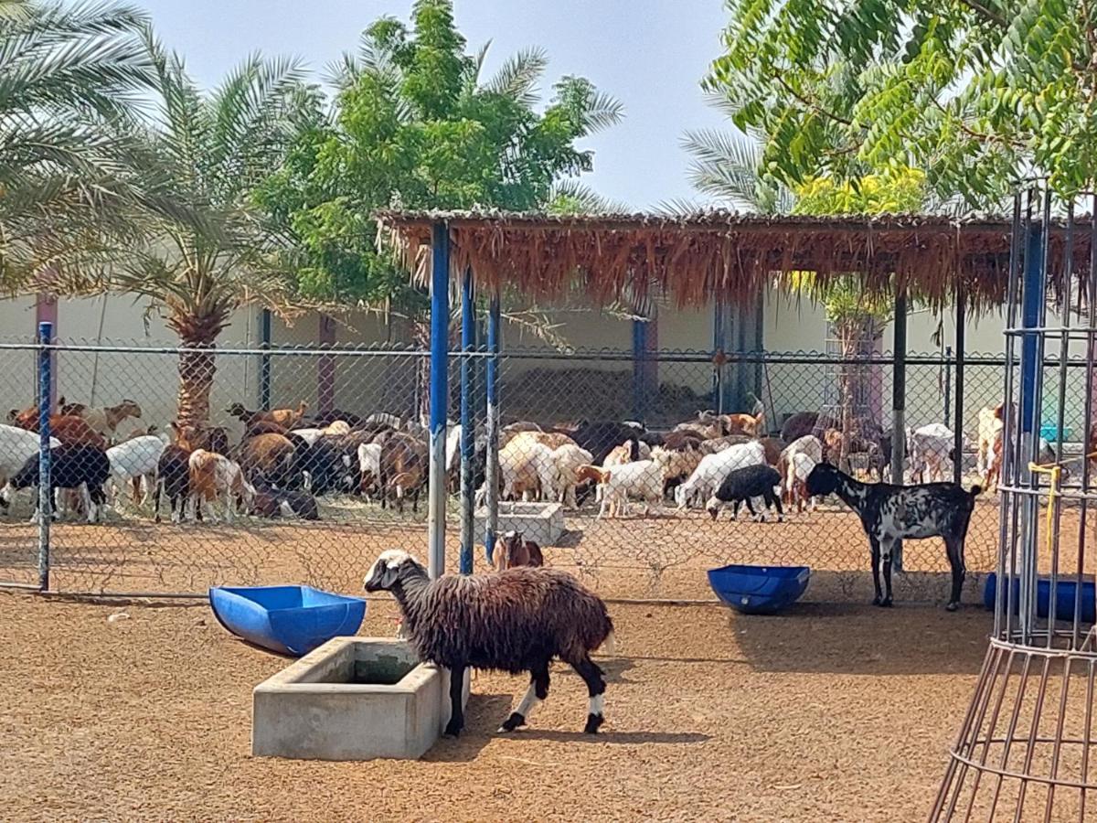 Asahalah Farm Pool Villas Seeb Buitenkant foto